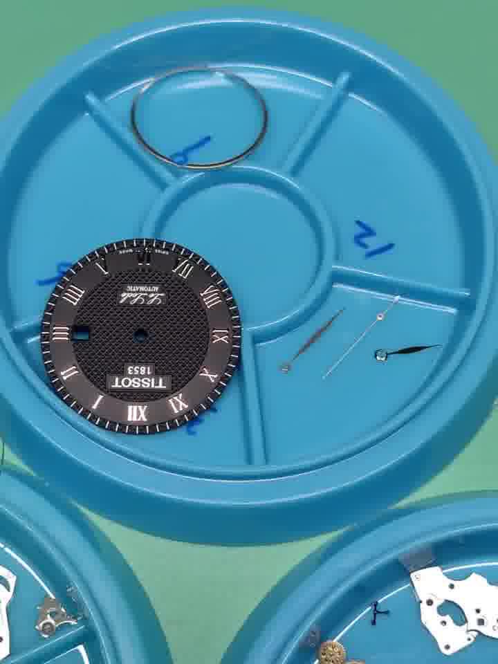 Collection of Solutions for Discoloration on Rolex Watch Straps (Image)