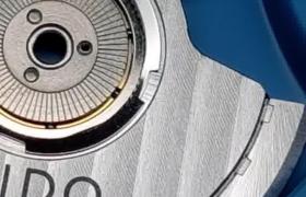 How to solve the problem of dust entering an Audemars Piguet watch