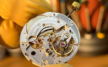 Movement Maintenance Movement Maintenance