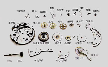 Watch Bracelet Watch Bracelet