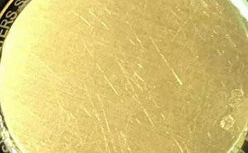 Case Surface Scratches Case Surface Scratches